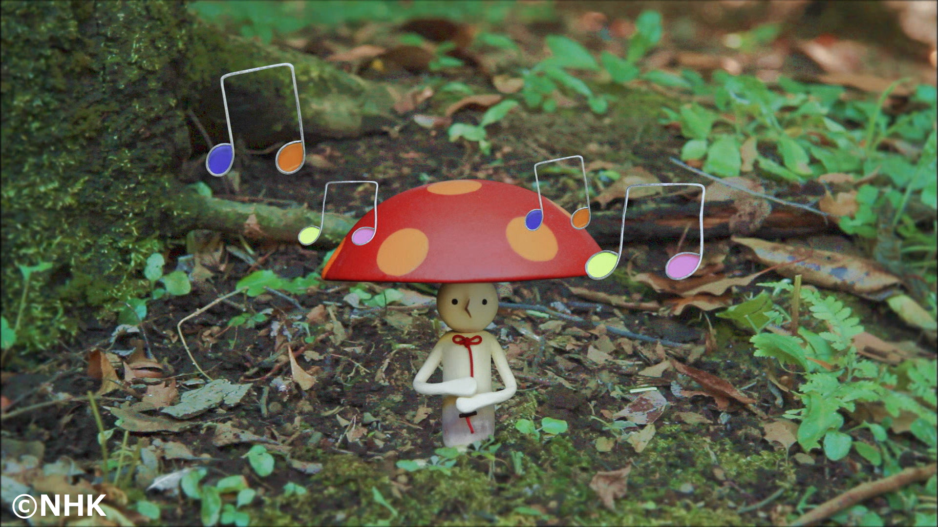 待望の最新ベストDVD！『NHK「おかあさんといっしょ」最新ソングブック ぴかぴかすまいる』のPVが公開